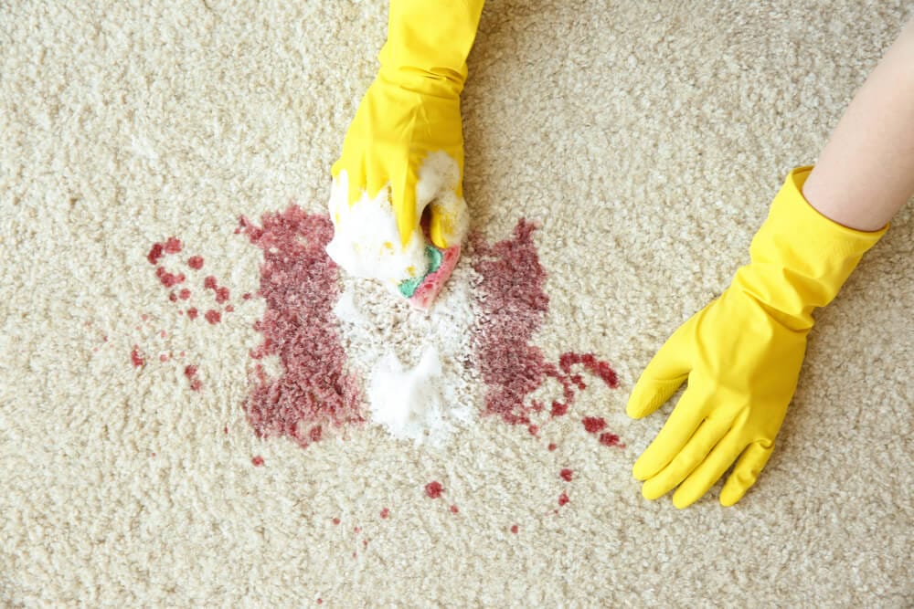 How To Properly Clean Up Blood Step Procedure Spaulding Decon