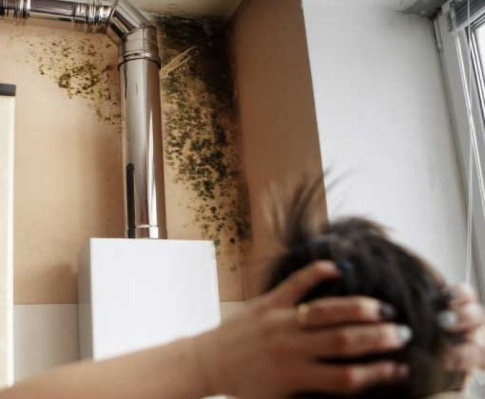 CERTIFIED MOLD REMEDIATION COMPANY NEAR ME