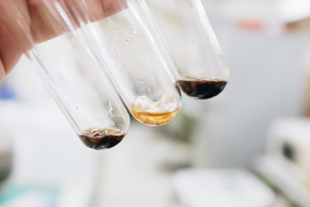 What Is Bioremediation? Definition, Types, and Real-World Examples