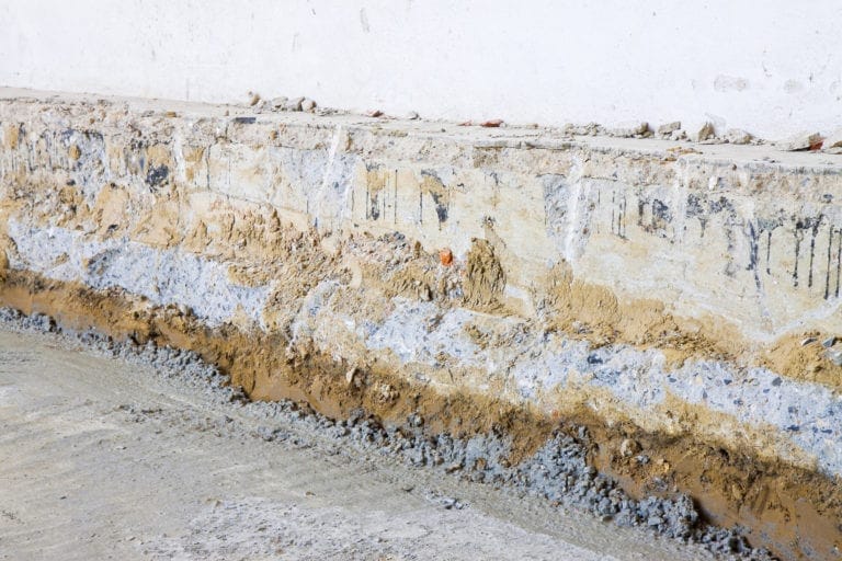 What Kills Mold? The Top 10 Mold Killers