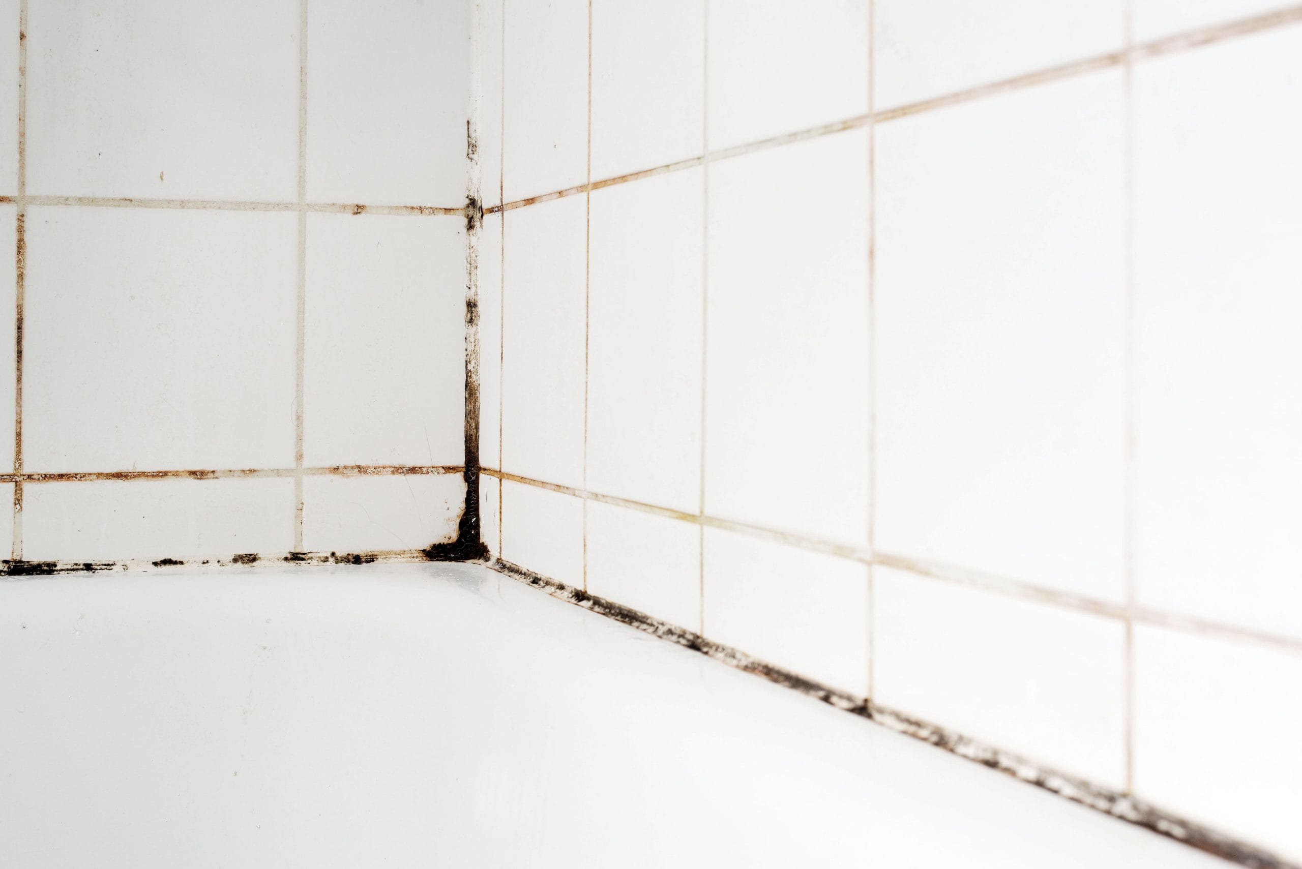 How To Remove (And Prevent) Mold In Bathrooms & Showers