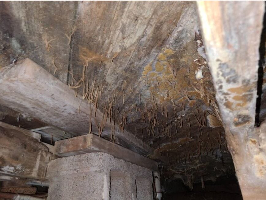 How To Get Rid Of Mold On Walls